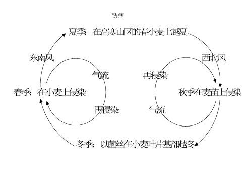 病虫害侵染循环