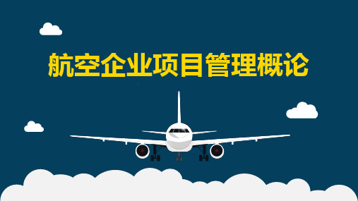 《航空企业项目管理概论》第十四章