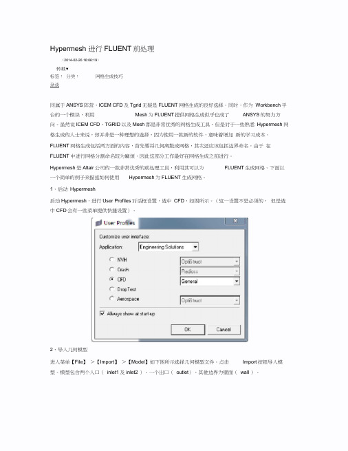Hypermesh进行FLUENT前处理