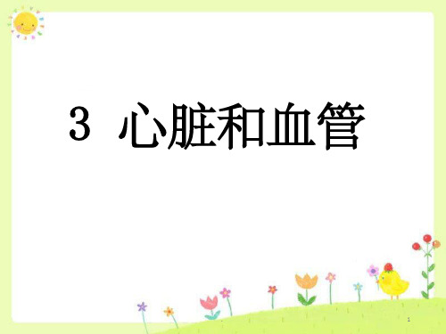 青岛版科学五年级下册 第一单元《3 心脏和血管》课件2