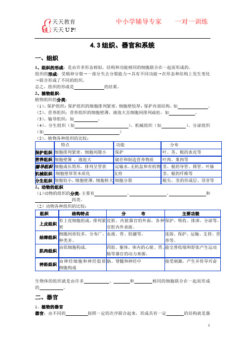 组织、器官和系统知识点