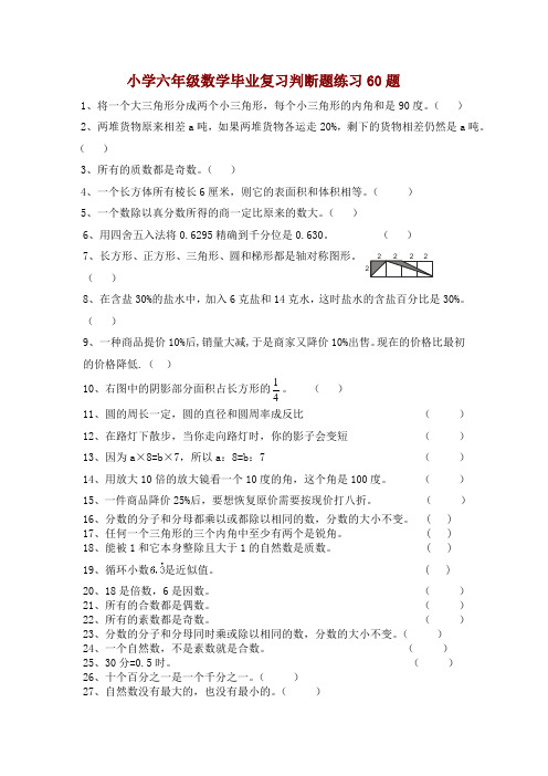 小学六年级数学毕业复习判断题练习60题