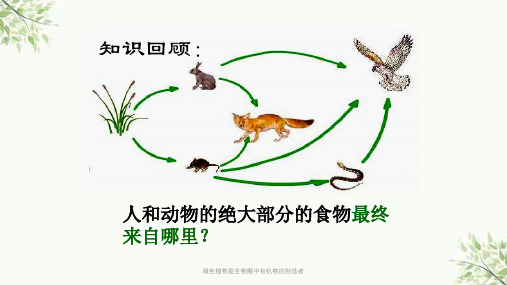 绿色植物是生物圈中有机物的制造者课件