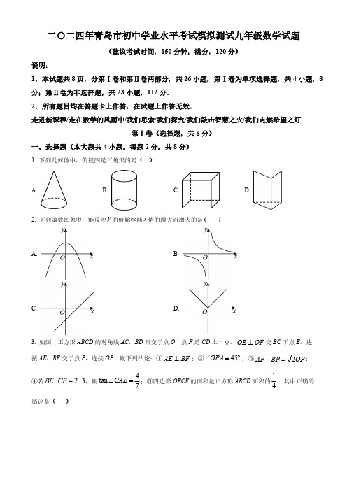 2024年山东省青岛市初中学业水平考试数学模拟试题(学生版)