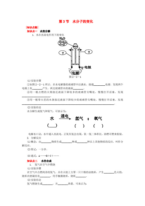 鲁教版化学八年级第2单元探索水世界第3节水分子的变化练习