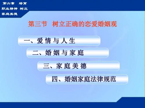 最新-【教育课件】第六章培育职业精神树立家庭美德 精品