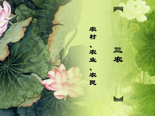 三农问题——农村、农民、农业