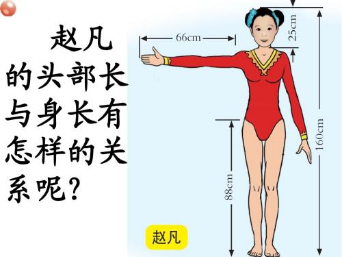 04 人体的奥秘(比)窗1a