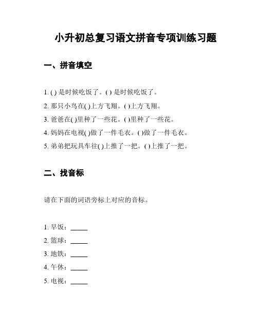 小升初总复习语文拼音专项训练习题