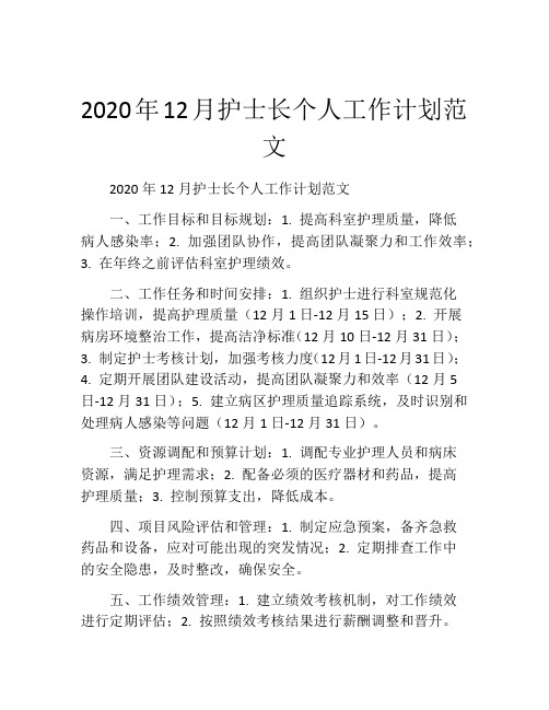 2020年12月护士长个人工作计划范文