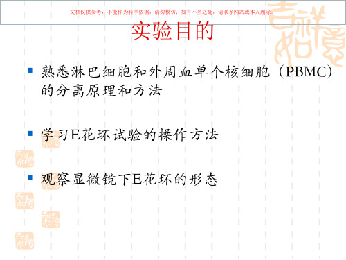 淋巴细胞分离和E玫瑰花环形成实验课件