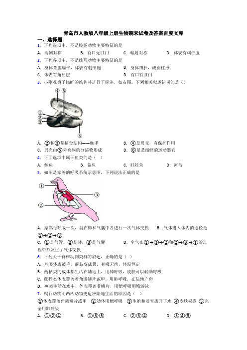 青岛市人教版八年级上册生物期末试卷及答案百度文库