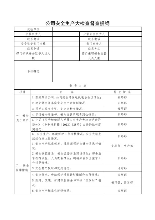 公司安全生产大检查督查提纲