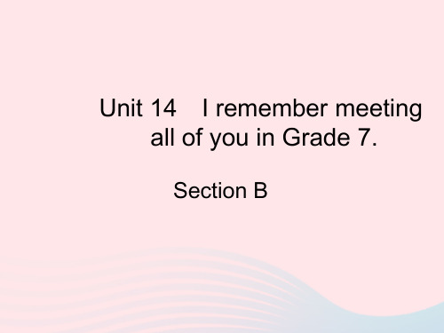 河北专版2023九年级英语全册Unit14Grade7SectionB作业课件新版人教新目标版