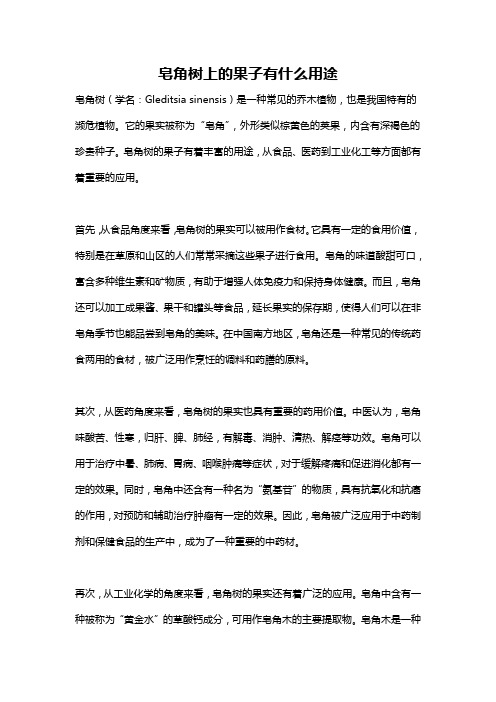 皂角树上的果子有什么用途