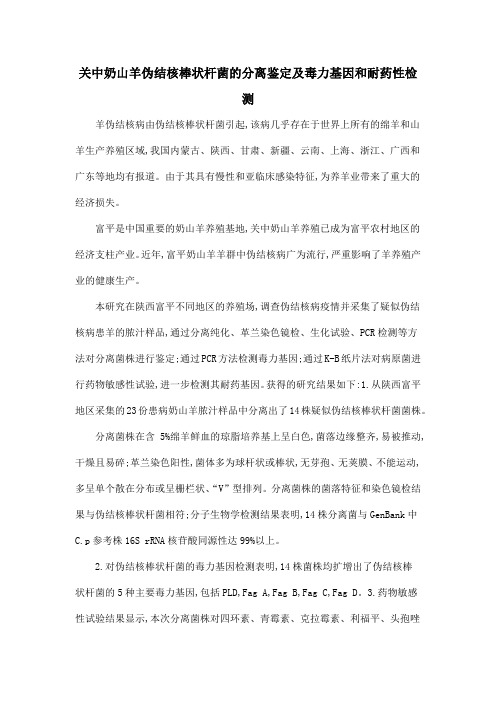 关中奶山羊伪结核棒状杆菌的分离鉴定及毒力基因和耐药性检测