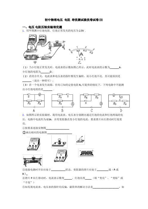 初中物理电压 电阻 培优测试提优卷试卷(3)