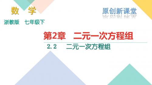 浙教版七年级数学下册课件：2.2二元一次方程组 (共16张PPT)