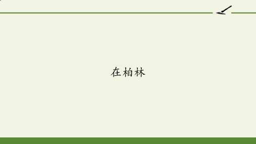 人教版部编版六年级语文上册《在柏林》