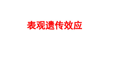 浙教版(2019)高中生物必修2第3章 3.5 生物体存在表观遗传现象 表观遗传效应 背景知识 课件(共27张PPT)