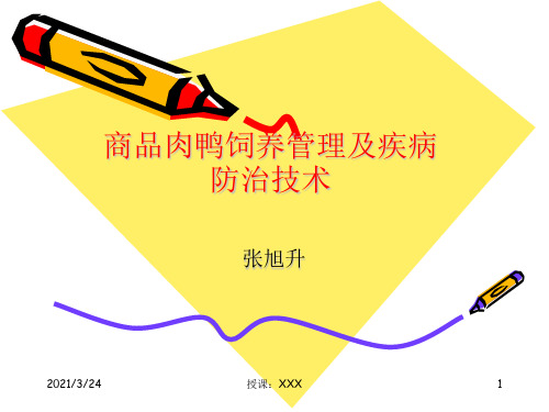 肉鸭饲养管理及疾病防治技术PPT课件