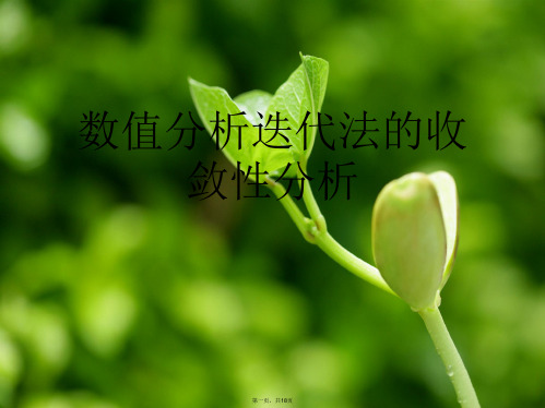 数值分析迭代法的收敛性分析