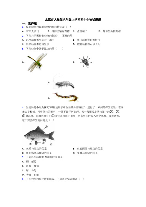 太原市人教版八年级上学期期中生物试题题