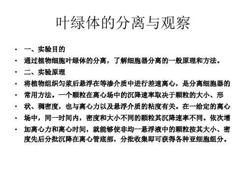 叶绿体的分离