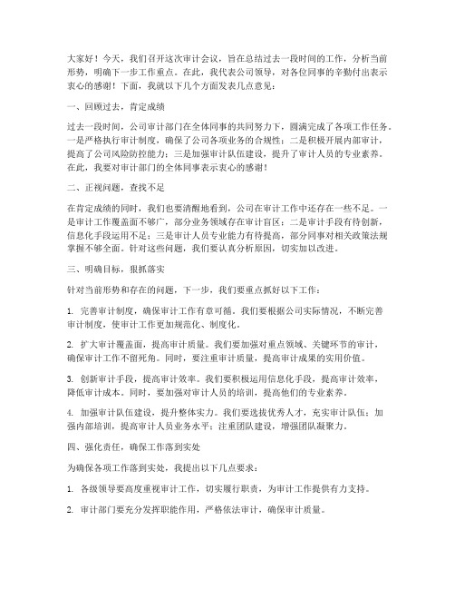 审计会议主管领导发言稿