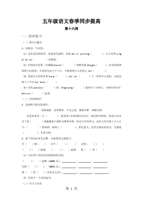 五年级下册语文试题  同步提高第十六周 人教新课标