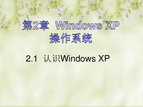 认识Windows_XP