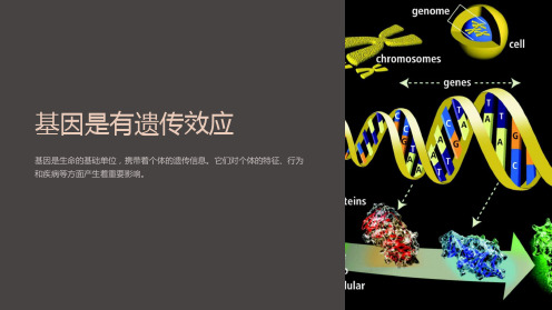 基因是有遗传效应