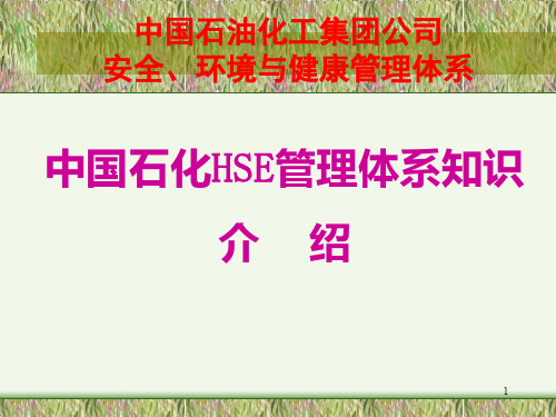 中国石化HSE管理体系基础知识介绍