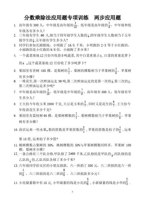 分数乘除法应用题专项训练  两步应用题 (20)