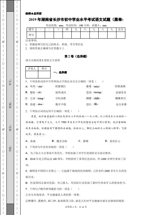 2019年湖南省长沙市初中学业水平考试语文试题(黑卷)(附带各题超详细解析及作文范文)