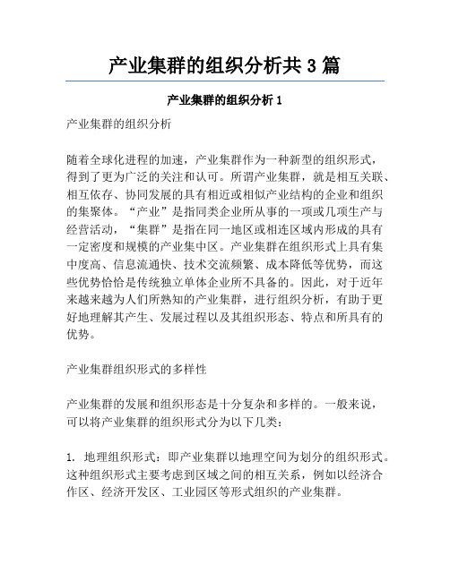 产业集群的组织分析共3篇