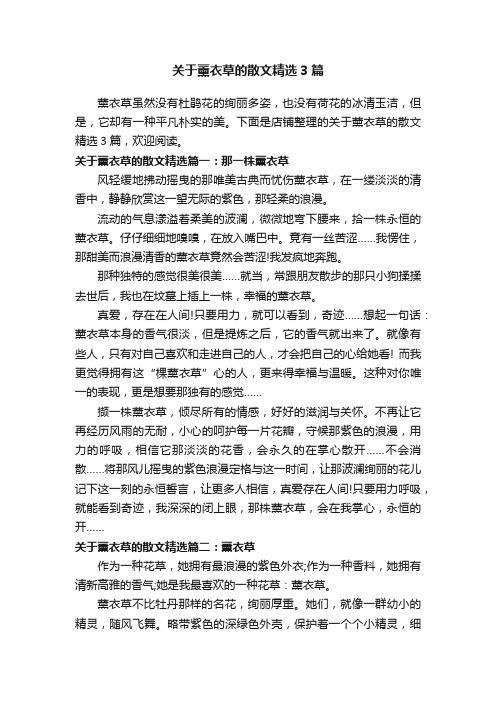 关于薰衣草的散文精选3篇