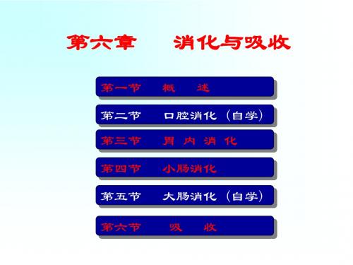 动物生理学__消化与吸收_课件PPT课件教案与资料