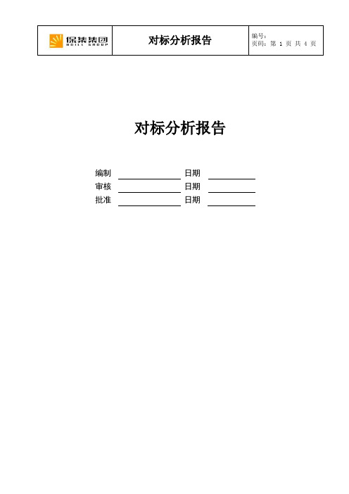 对标分析报告