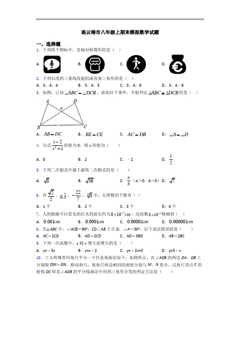 连云港市八年级上期末模拟数学试题