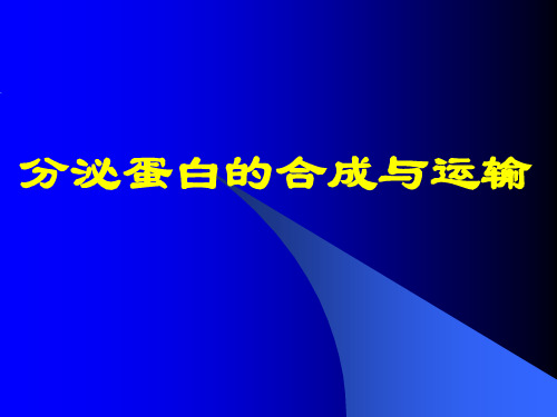 分泌蛋白的合成与运输