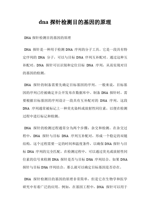 dna探针检测目的基因的原理