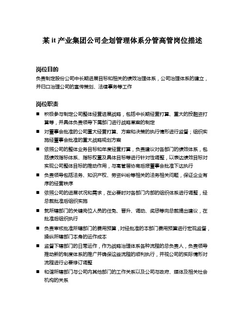 某it产业集团公司企划管理体系分管高管岗位描述