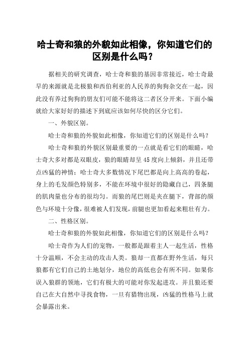 哈士奇和狼的外貌如此相像,你知道它们的区别是什么吗？