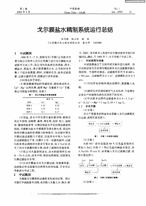 戈尔膜盐水精制系统动物运行总结