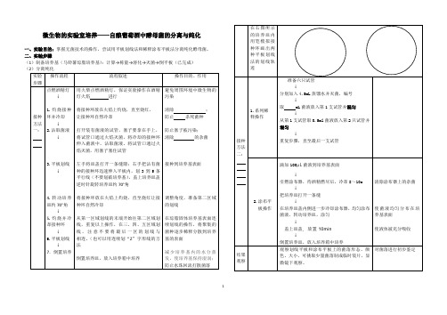 【实验】微生物的分离与纯化