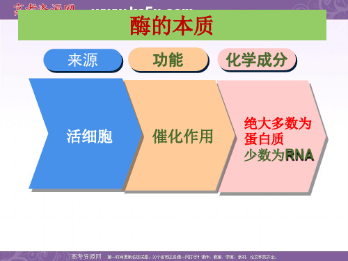 必修一生物5.1降低化学反应活化能的酶酶的特性 课件