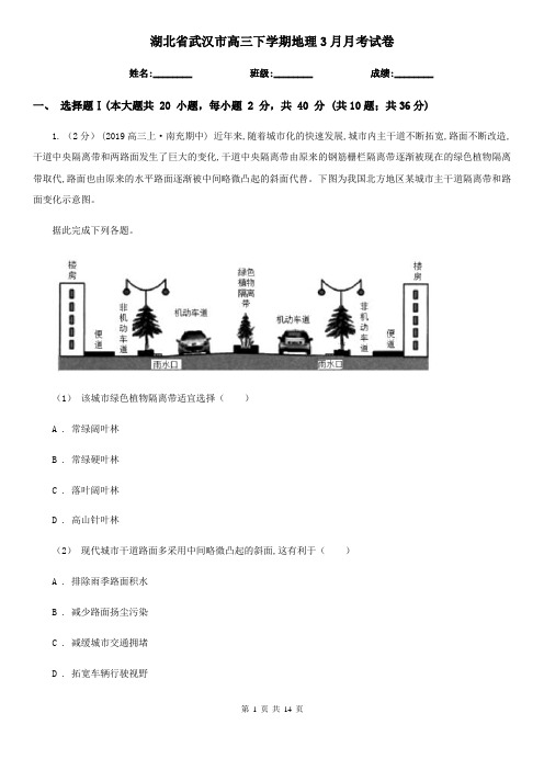 湖北省武汉市高三下学期地理3月月考试卷