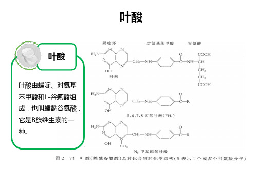 叶酸代谢能力测定