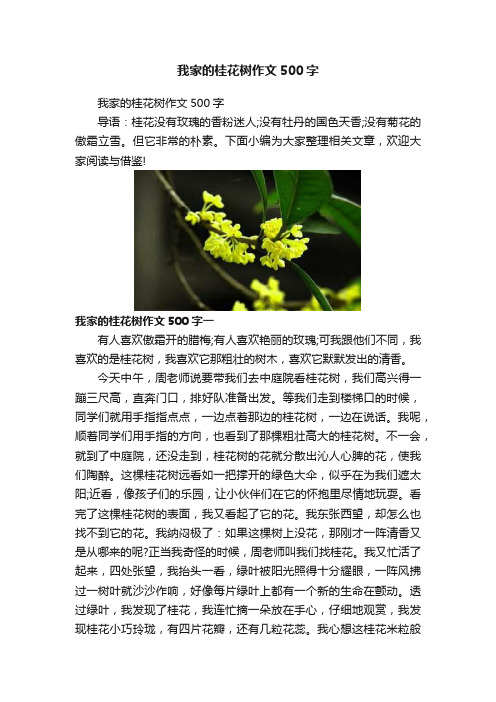 我家的桂花树作文500字